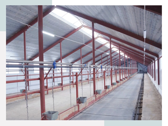 Строительство коровников в Ангарске от 616 руб.