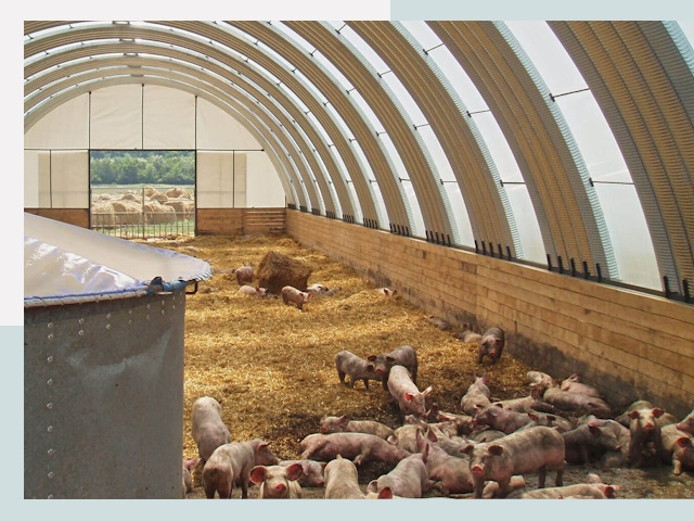 Строительство свинарников в Ангарске